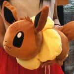Evoli Knuffel Kussen Pokémon Slaapkussen De Knuffel