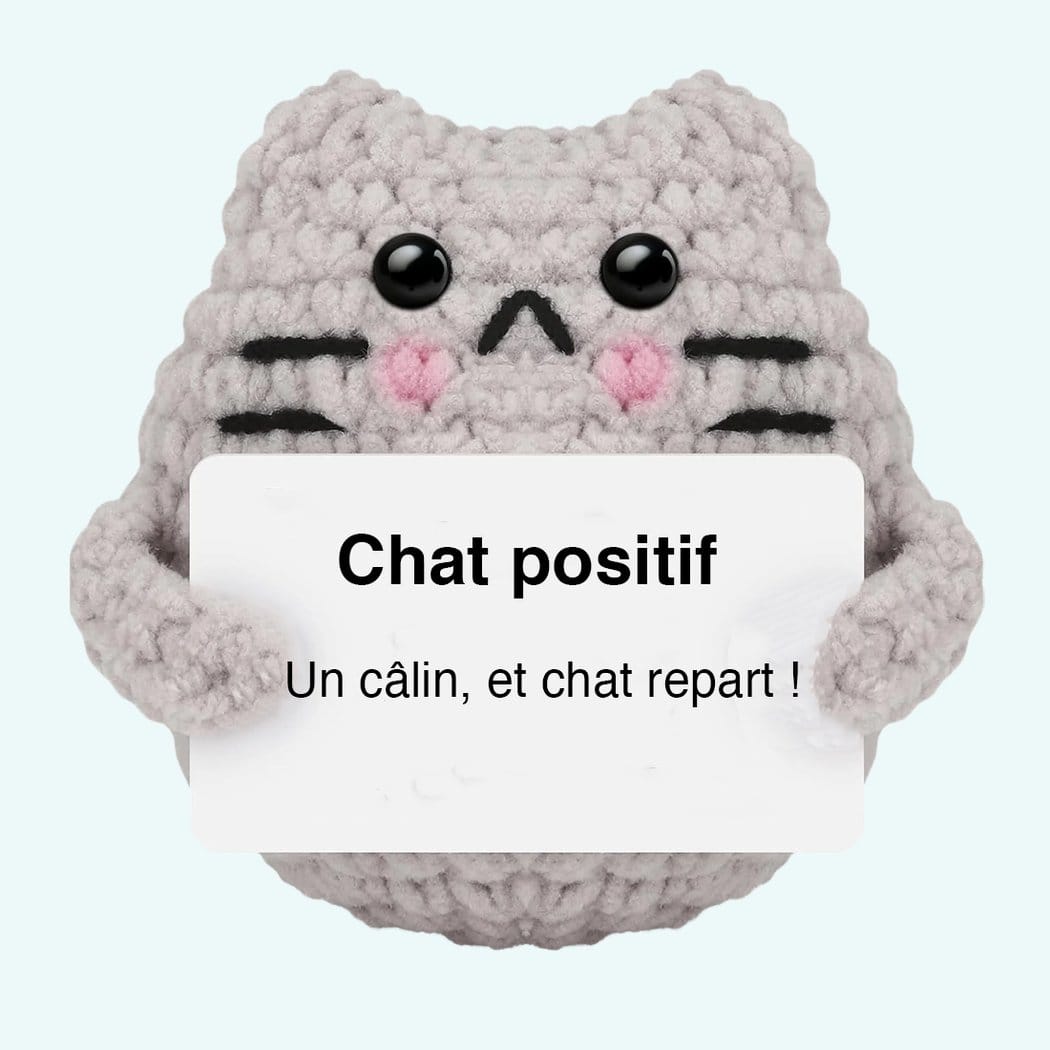 Gehaakte Positieve Kat Knuffel Handgemaakt Zacht Materiaal De Knuffel