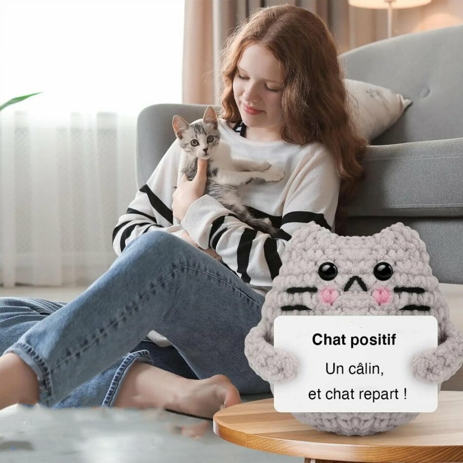 Gehaakte Positieve Kat Knuffel Handgemaakt Zacht Materiaal De Knuffel