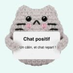 Gehaakte Positieve Kat Knuffel Handgemaakt Zacht Materiaal De Knuffel