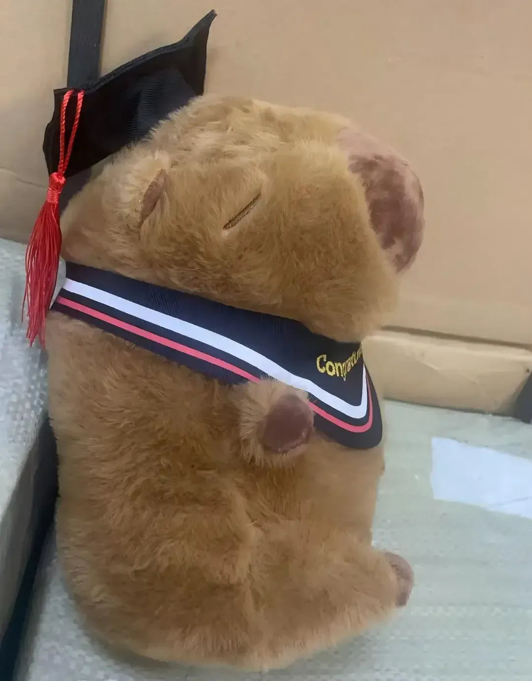 Geslaagd Capybara Knuffel 23 cm | Pluche Capybara met Afstudeerhoed De Knuffel