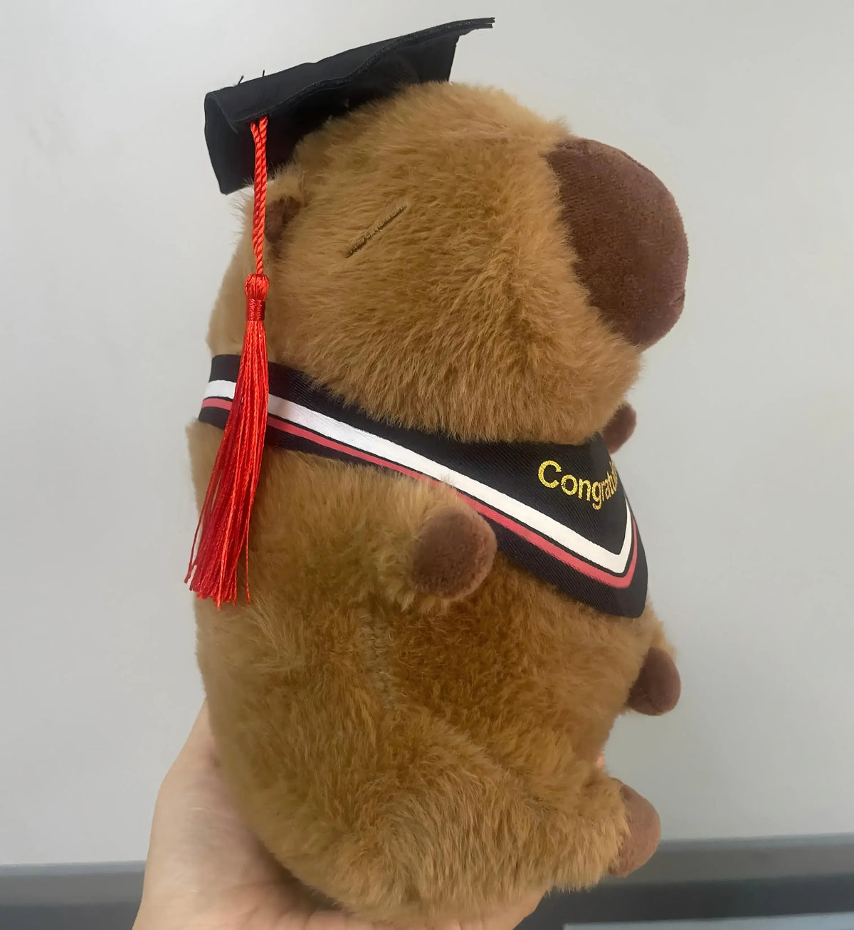 Geslaagd Capybara Knuffel 23 cm | Pluche Capybara met Afstudeerhoed De Knuffel
