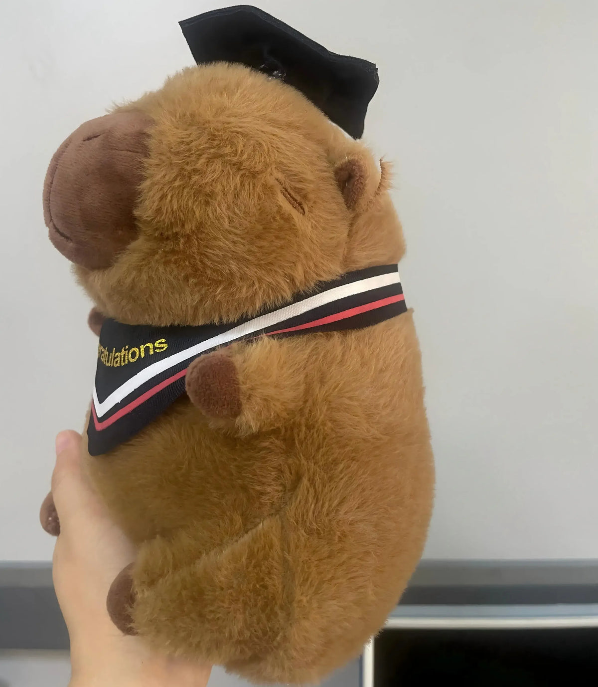 Geslaagd Capybara Knuffel 23 cm | Pluche Capybara met Afstudeerhoed De Knuffel