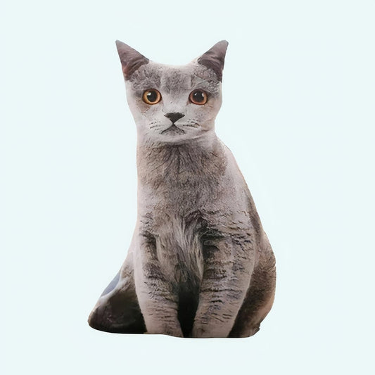 Grijs Knuffel Kat Kussen Zacht Comfort voor Katliefhebbers De Knuffel 50-cm