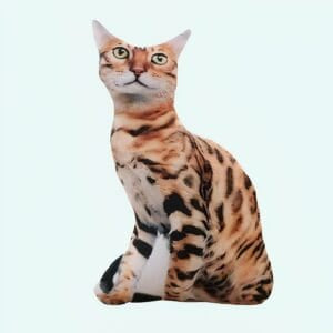 Grijs Knuffel Kat Kussen Zacht Comfort voor Katliefhebbers De Knuffel
