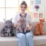 Grijs Knuffel Kat Kussen Zacht Comfort voor Katliefhebbers De Knuffel