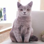 Grijs Knuffel Kat Kussen Zacht Comfort voor Katliefhebbers De Knuffel