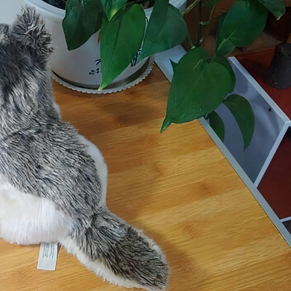 Grijze Siberische Wolf Knuffel Zachte Pluche De Knuffel