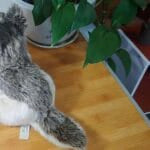Grijze Siberische Wolf Knuffel Zachte Pluche De Knuffel