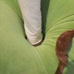 Groene Dinosaurus Knuffel Kawaii Zachte Pluche De Knuffel