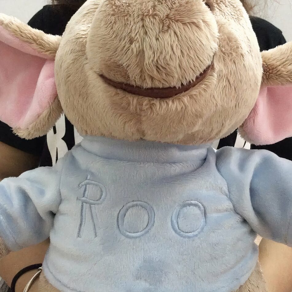 Grote Knuffel Kleine Gourou 30 cm Pluche De Knuffel
