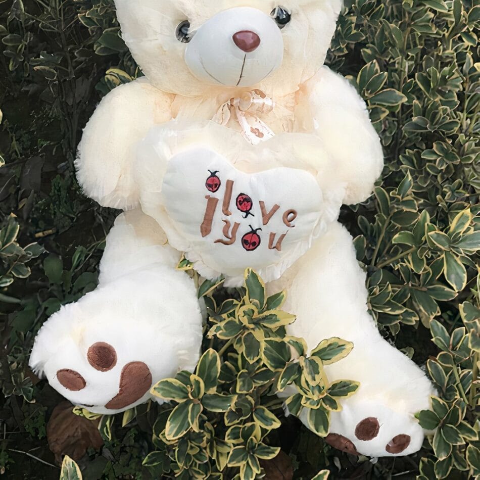 Grote Pluizige Knuffelbeer Poilu Romantisch Geschenk De Knuffel