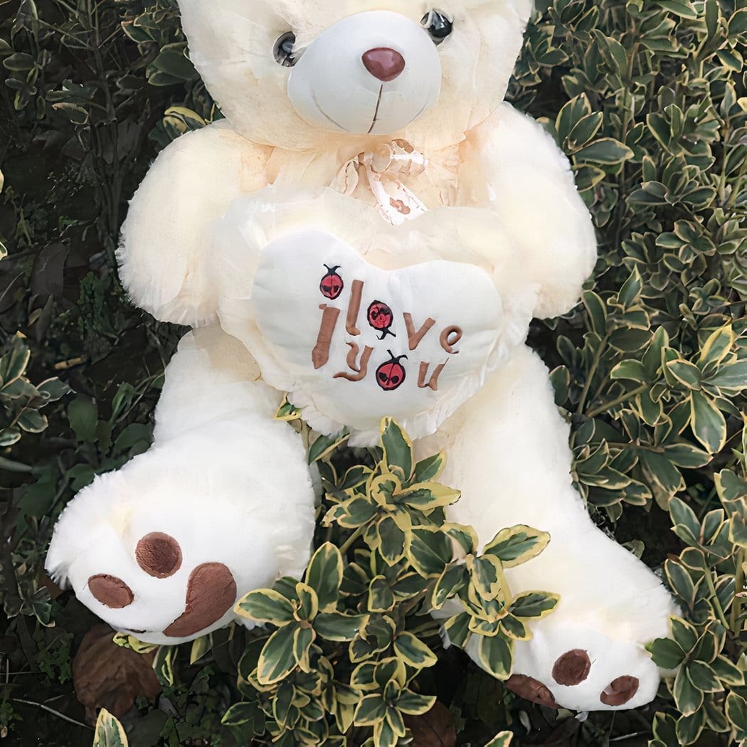 Grote Pluizige Knuffelbeer Poilu Romantisch Geschenk De Knuffel beige / 50cm