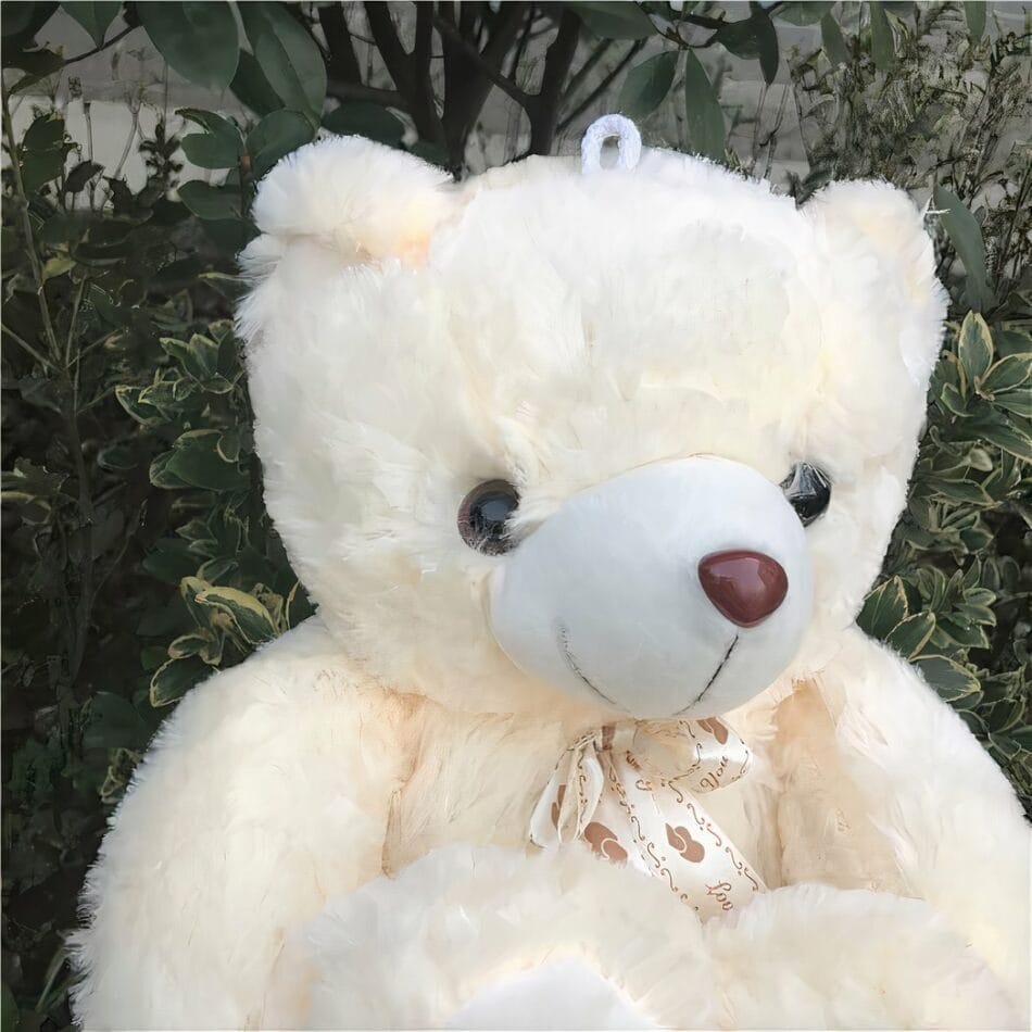 Grote Pluizige Knuffelbeer Poilu Romantisch Geschenk De Knuffel