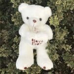 Grote Pluizige Knuffelbeer Poilu Romantisch Geschenk De Knuffel