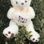 Grote Pluizige Knuffelbeer Poilu Romantisch Geschenk De Knuffel
