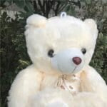 Grote Pluizige Knuffelbeer Poilu Romantisch Geschenk De Knuffel