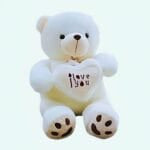 Grote Pluizige Knuffelbeer Poilu Romantisch Geschenk De Knuffel