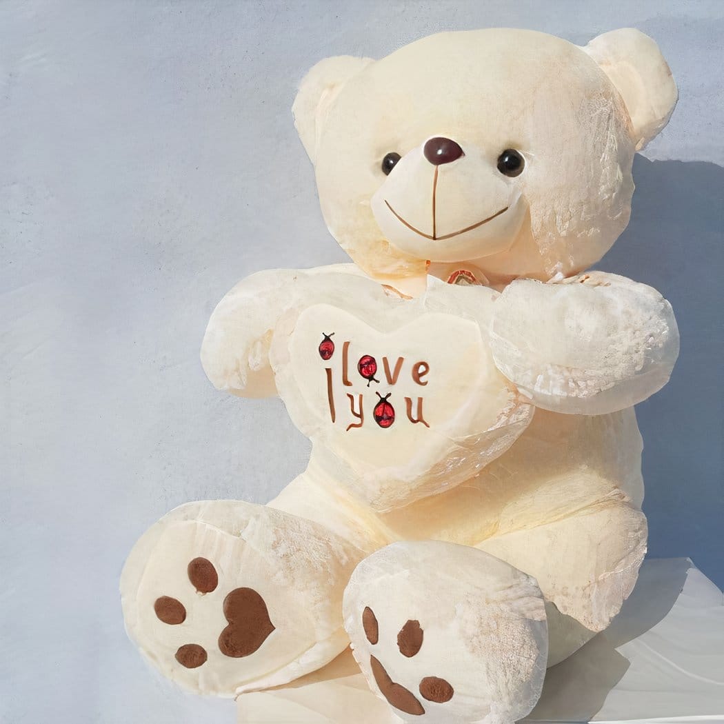 Grote Teddybeer Met Rood Fluwelen Hart Ours Knuffel Avec Coeur De Knuffel