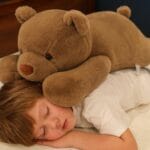 Grote Verzwaarde Knuffelbeer Met Warme Bruine Vacht De Knuffel