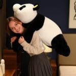 Grote Verzwaarde Panda Knuffel Voor Ontspanning De Knuffel