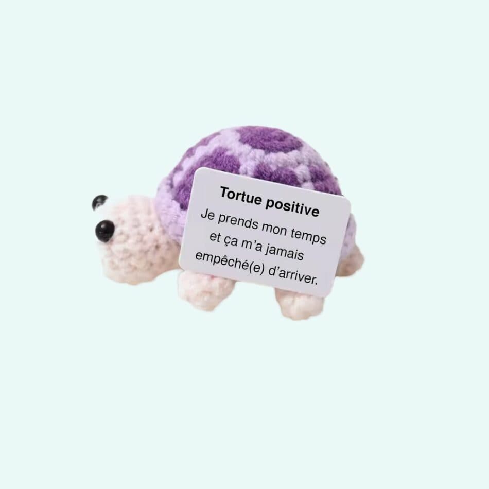 Handgehaakte Positieve Schildpad Knuffel Zachte Natuurlijke Kleuren De Knuffel