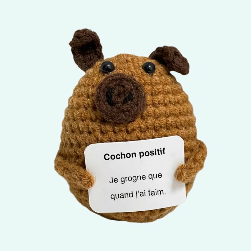 Handgemaakte Gehaakte Positieve Varken Knuffel De Knuffel