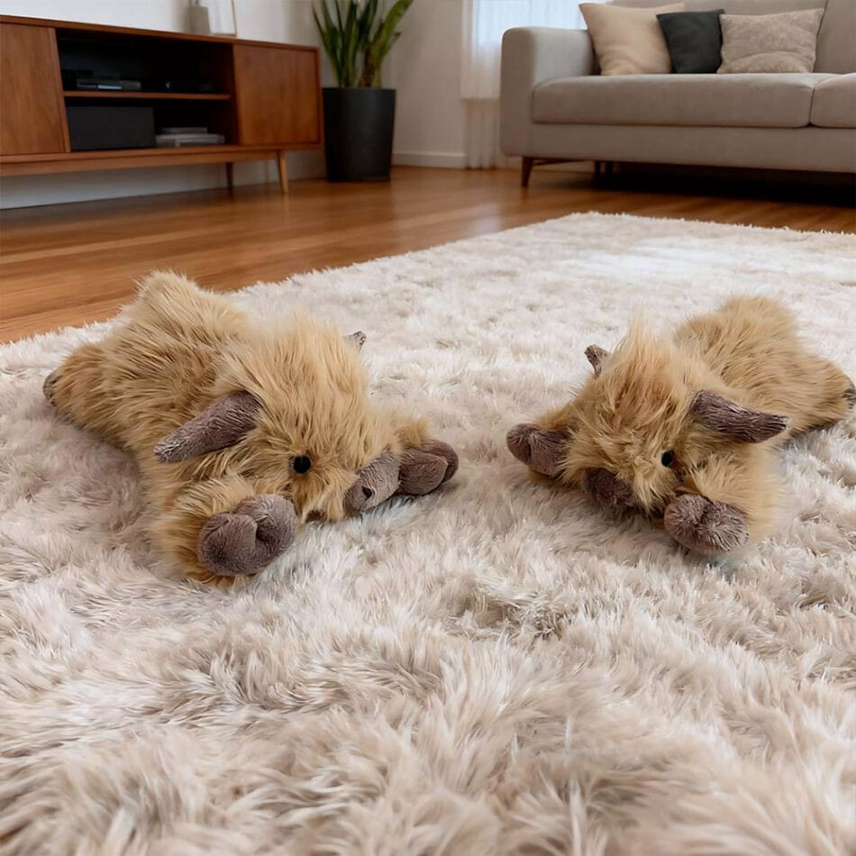 Highland Koe Verzwaarde Knuffel Met Warmte En Diepe Druk De Knuffel