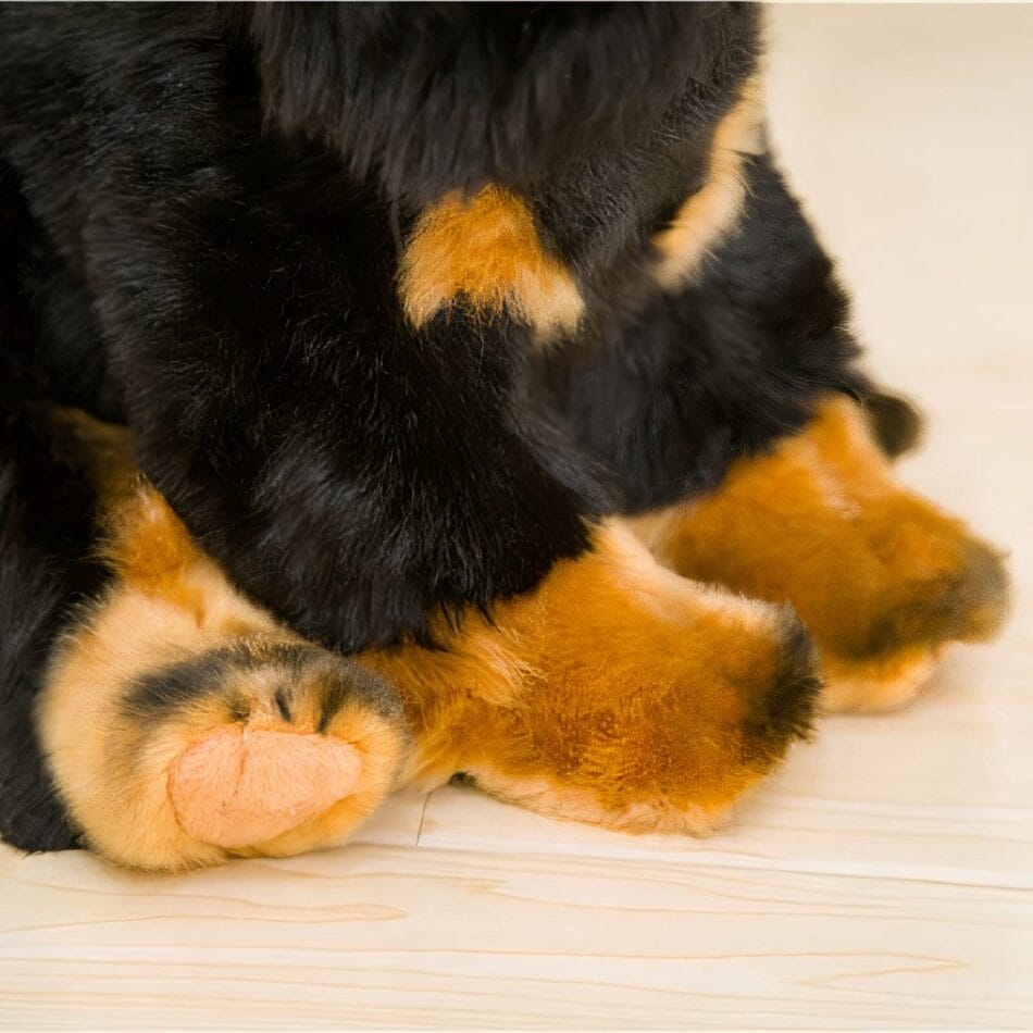 Hondvormige Knuffel Zachte Gezelschap Voor Kinderen De Knuffel