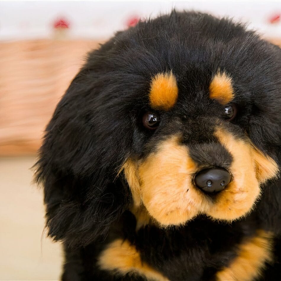 Hondvormige Knuffel Zachte Gezelschap Voor Kinderen De Knuffel