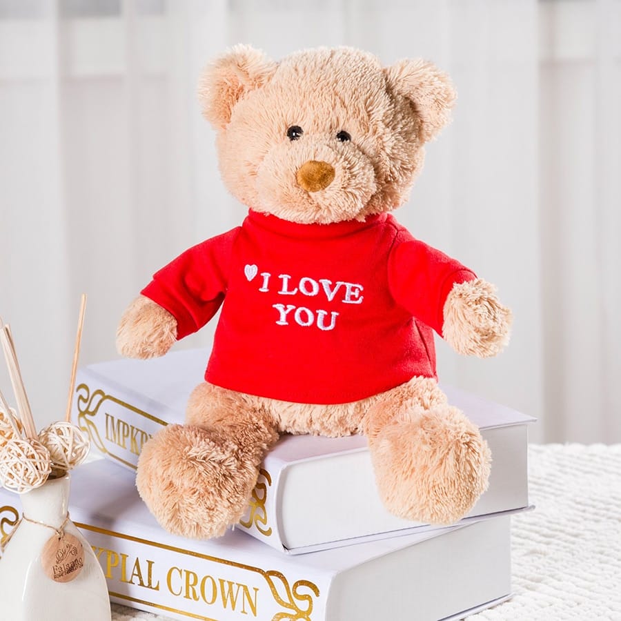 I Love You Knuffelbeer Zachte Pluche Valentijn Cadeau De Knuffel