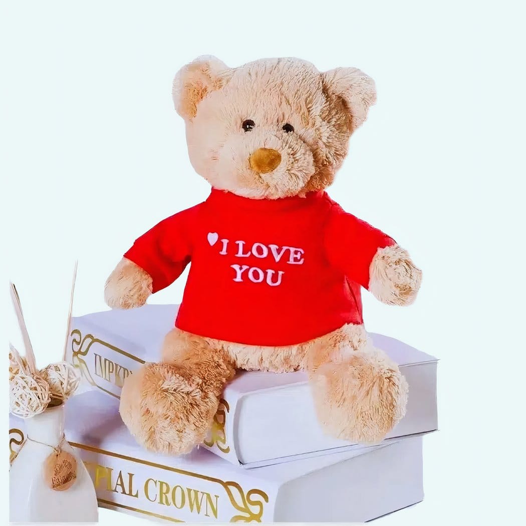 I Love You Knuffelbeer Zachte Pluche Valentijn Cadeau De Knuffel