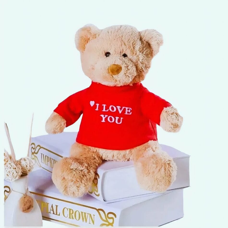 I Love You Knuffelbeer Zachte Pluche Valentijn Cadeau De Knuffel