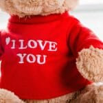 I Love You Knuffelbeer Zachte Pluche Valentijn Cadeau De Knuffel