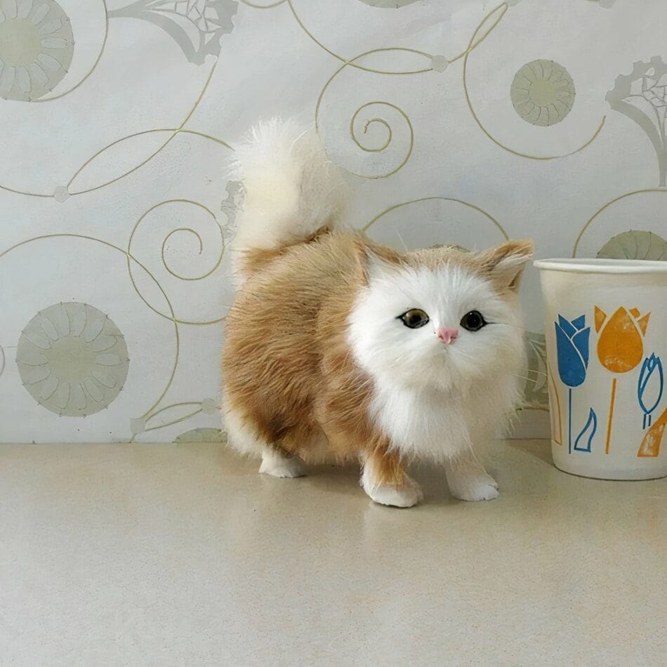 Kattenknuffel Met Lange Vacht Zacht Ultra Realistisch Voor Baby's De Knuffel