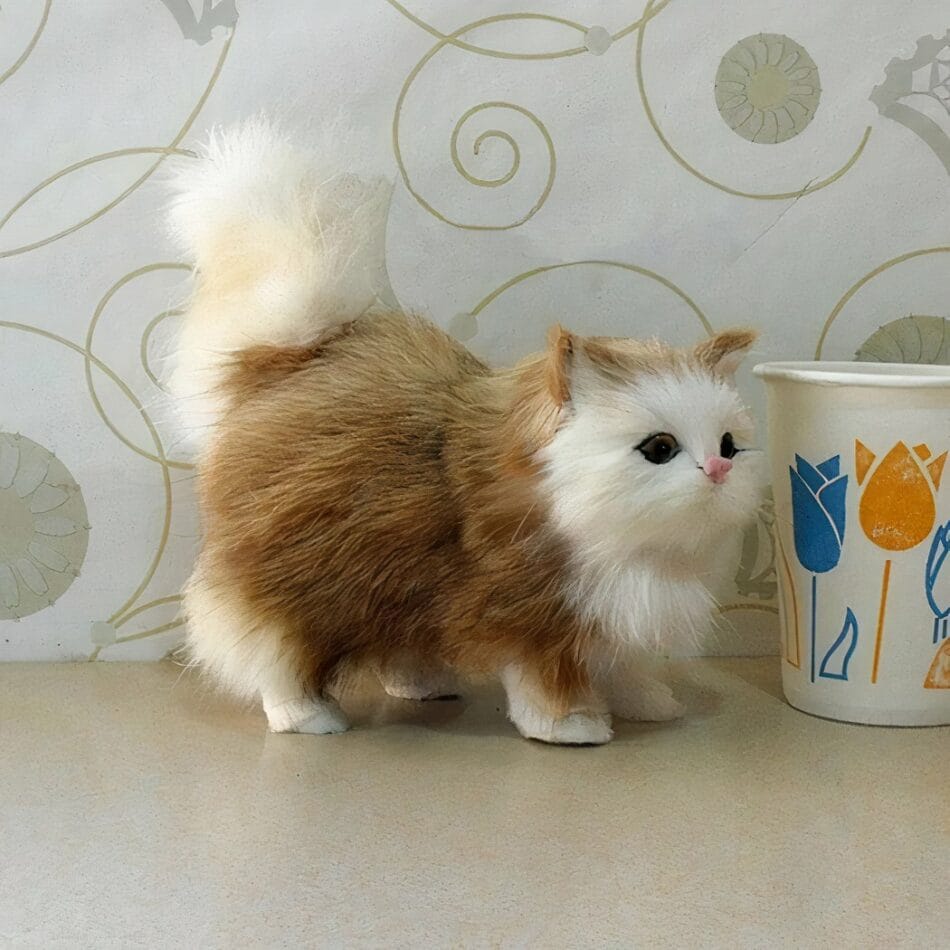 Kattenknuffel Met Lange Vacht Zacht Ultra Realistisch Voor Baby's De Knuffel