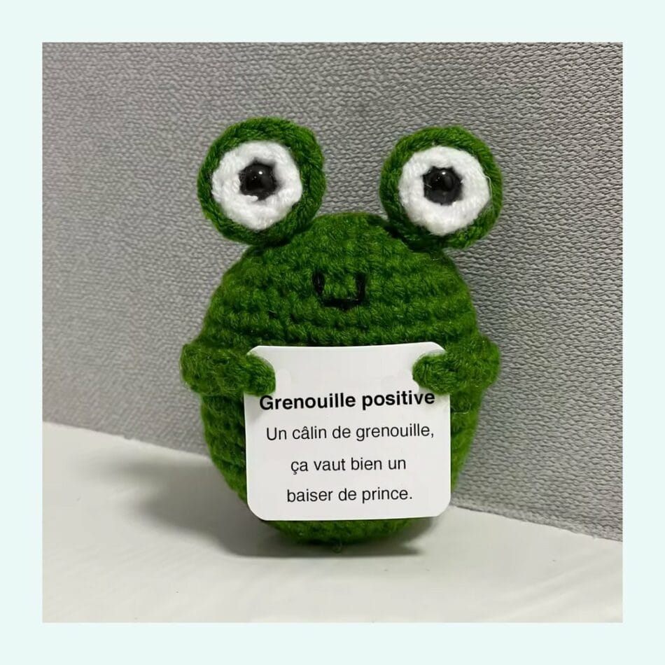 Kleine Crochet Kikker Knuffel Positieve Metgezel De Knuffel