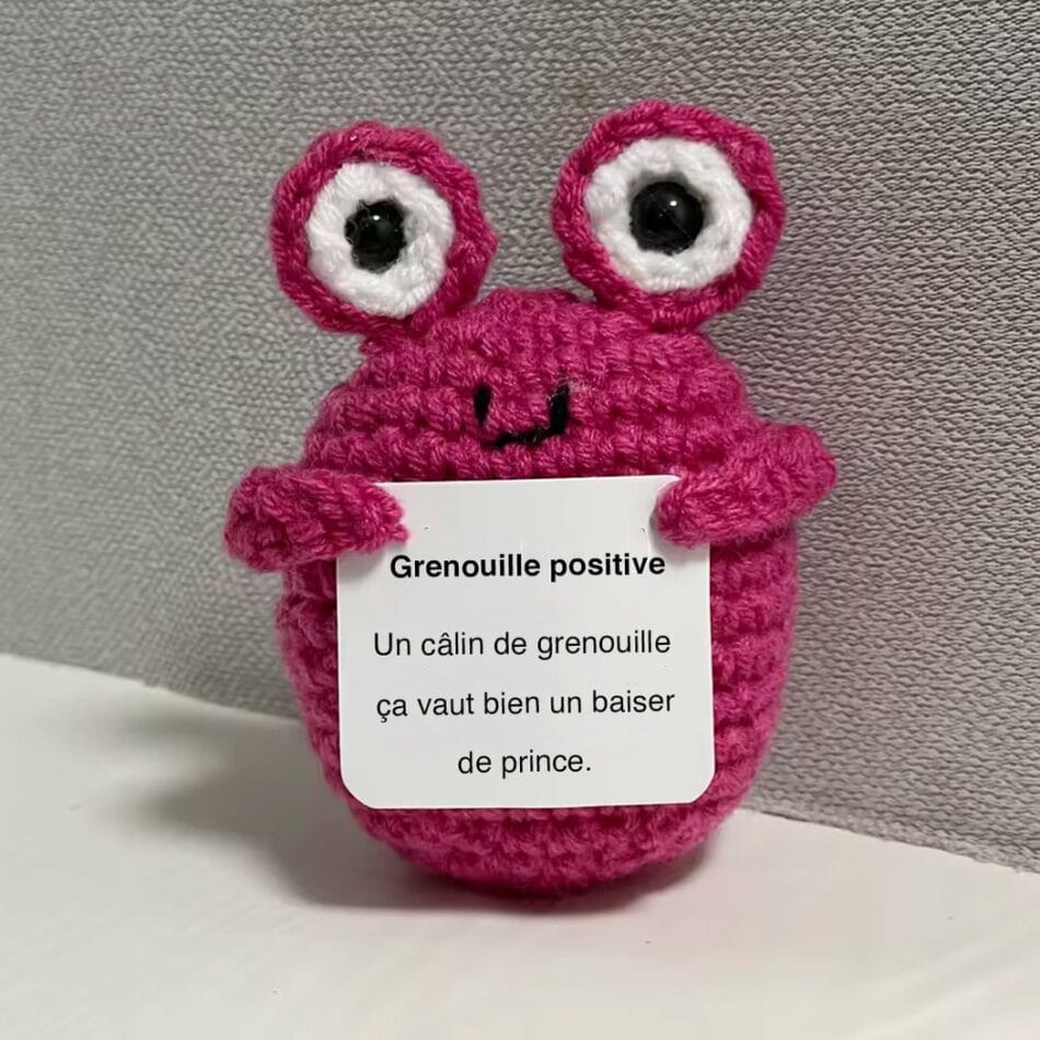 Kleine Crochet Kikker Knuffel Positieve Metgezel De Knuffel