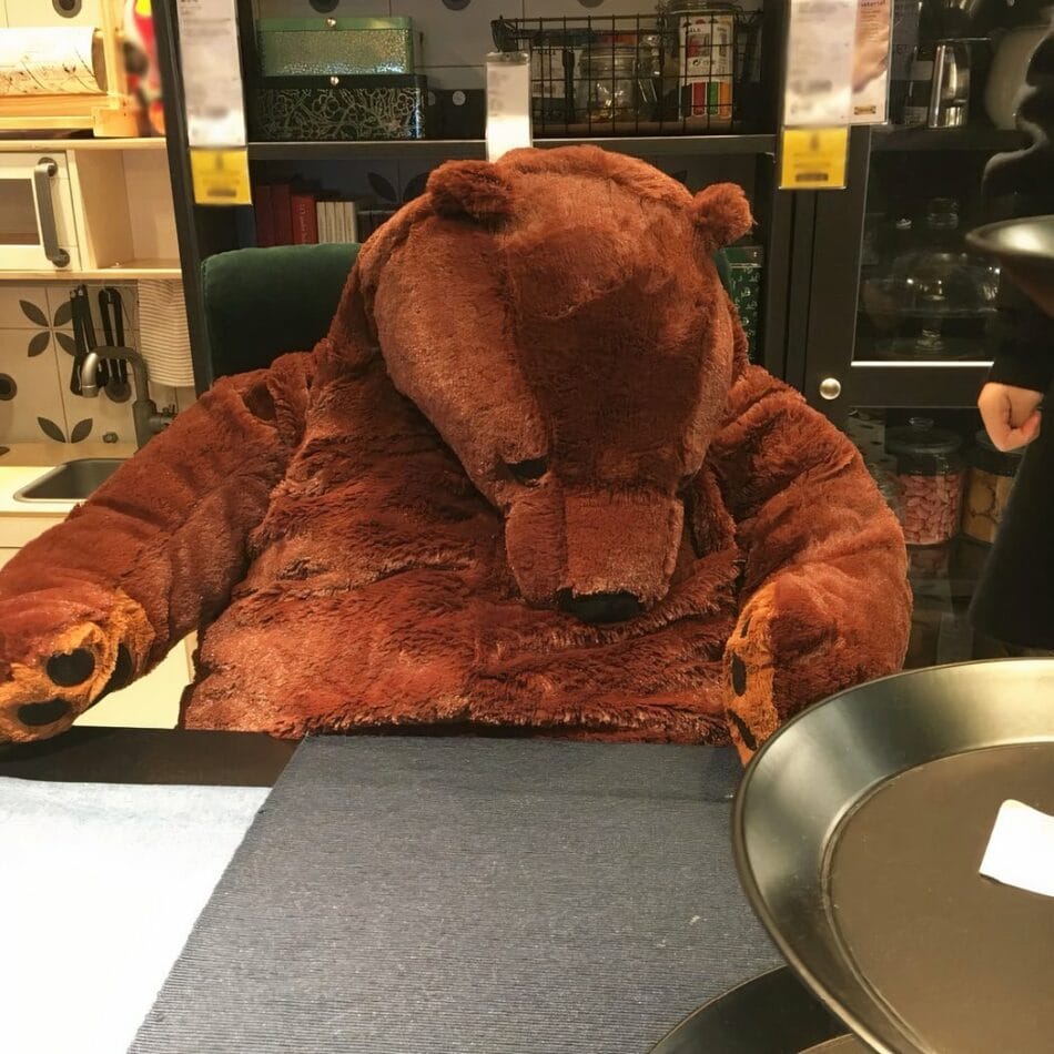 Knuffel Beer Reuzen Super Zacht Grote Knuffel Met Comfort De Knuffel