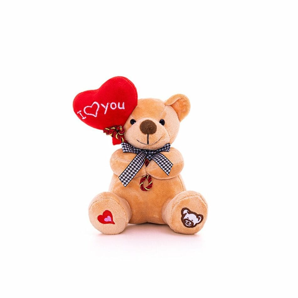 Knuffel Beertje met Ballon I Love You Valentijn Cadeau De Knuffel