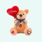 Knuffel Beertje met Ballon I Love You Valentijn Cadeau De Knuffel