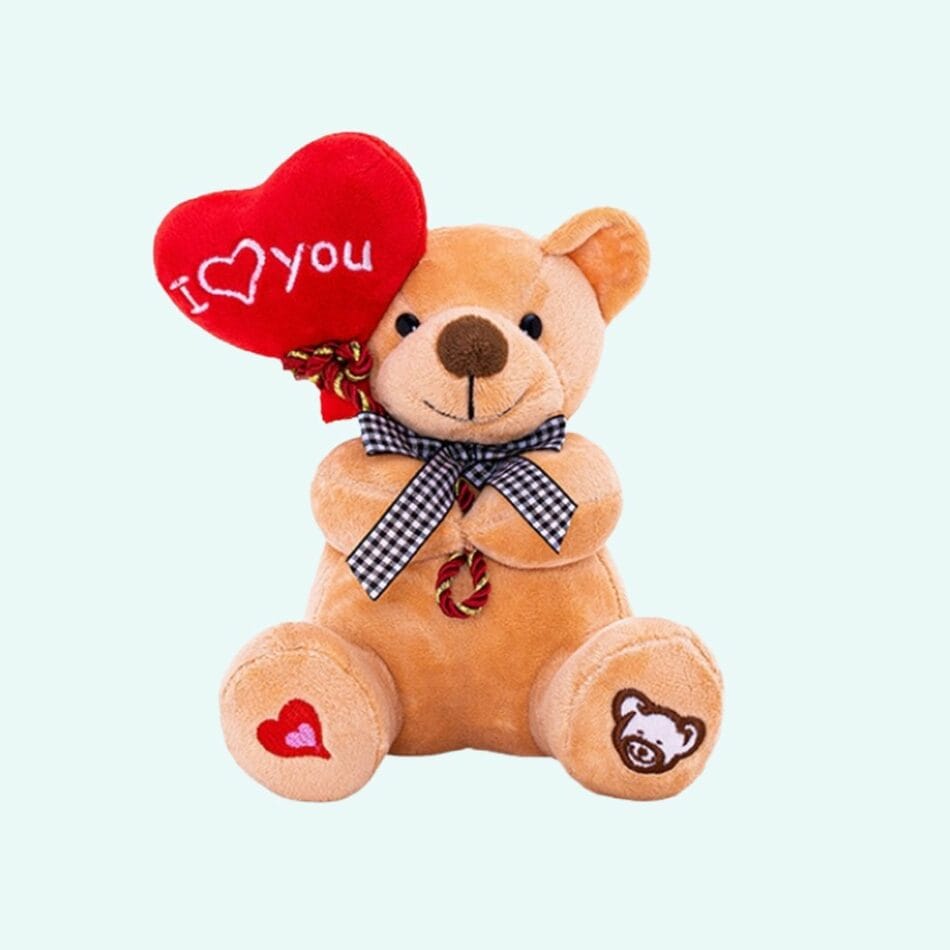 Knuffel Beertje met Ballon I Love You Valentijn Cadeau De Knuffel