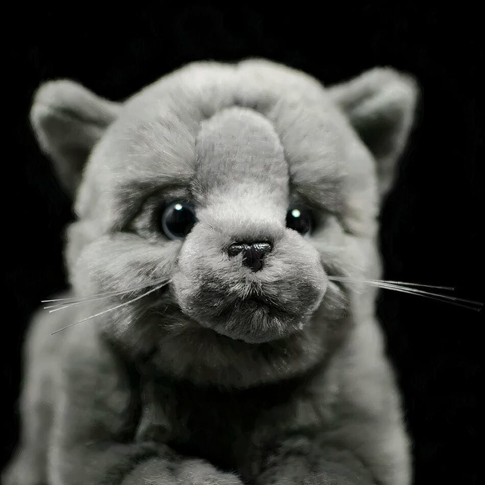 Knuffel Britse Korthaar 22 cm Zachte Pluche Knuffelkat De Knuffel