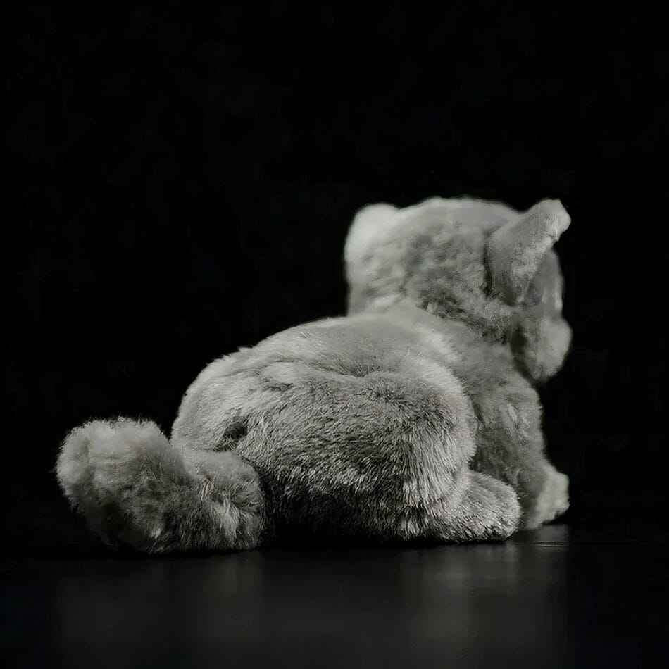 Knuffel Britse Korthaar 22 cm Zachte Pluche Knuffelkat De Knuffel