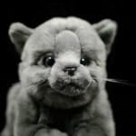 Knuffel Britse Korthaar 22 cm Zachte Pluche Knuffelkat De Knuffel