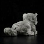 Knuffel Britse Korthaar 22 cm Zachte Pluche Knuffelkat De Knuffel