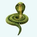 Knuffel Cobra Ultra Zacht Met Lange Flexibele Lijf De Knuffel