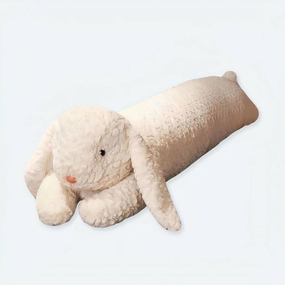 Knuffel Coussin Lapin Reuzen Zachte Konijnenknuffel Voor Kinderen De Knuffel