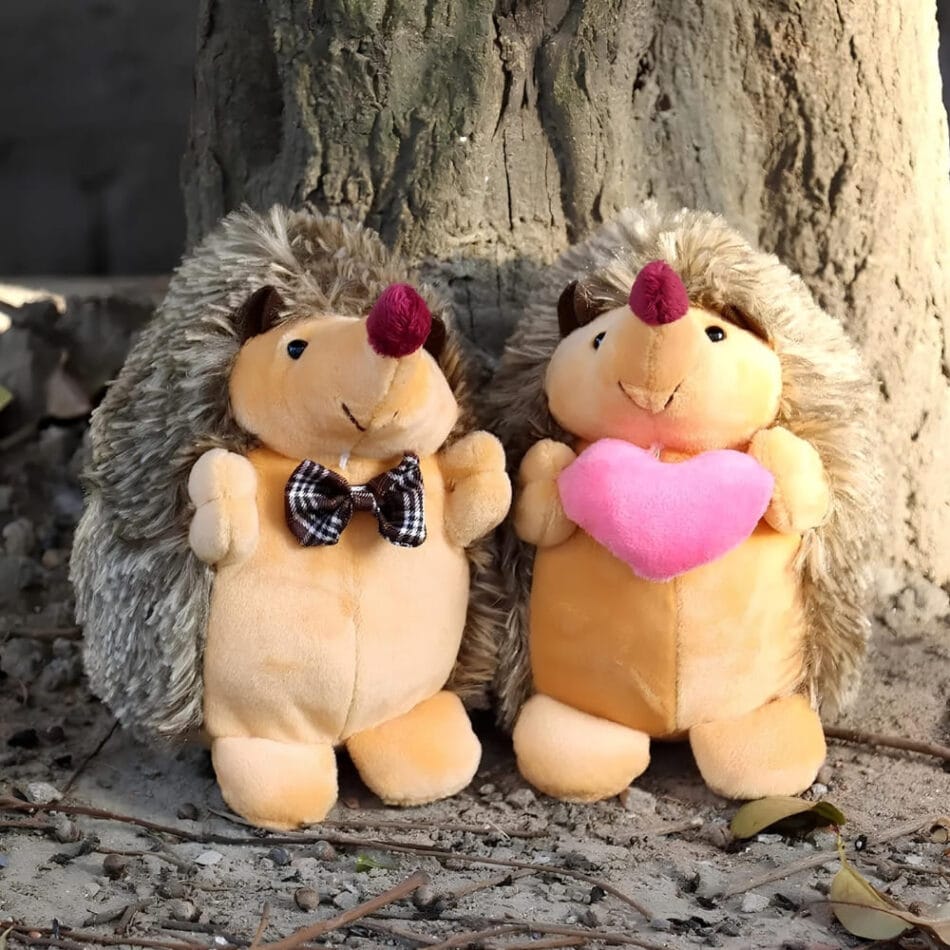 Knuffel Egel Duo Liefdes Koppel 17 Cm Zacht De Knuffel