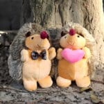 Knuffel Egel Duo Liefdes Koppel 17 Cm Zacht De Knuffel
